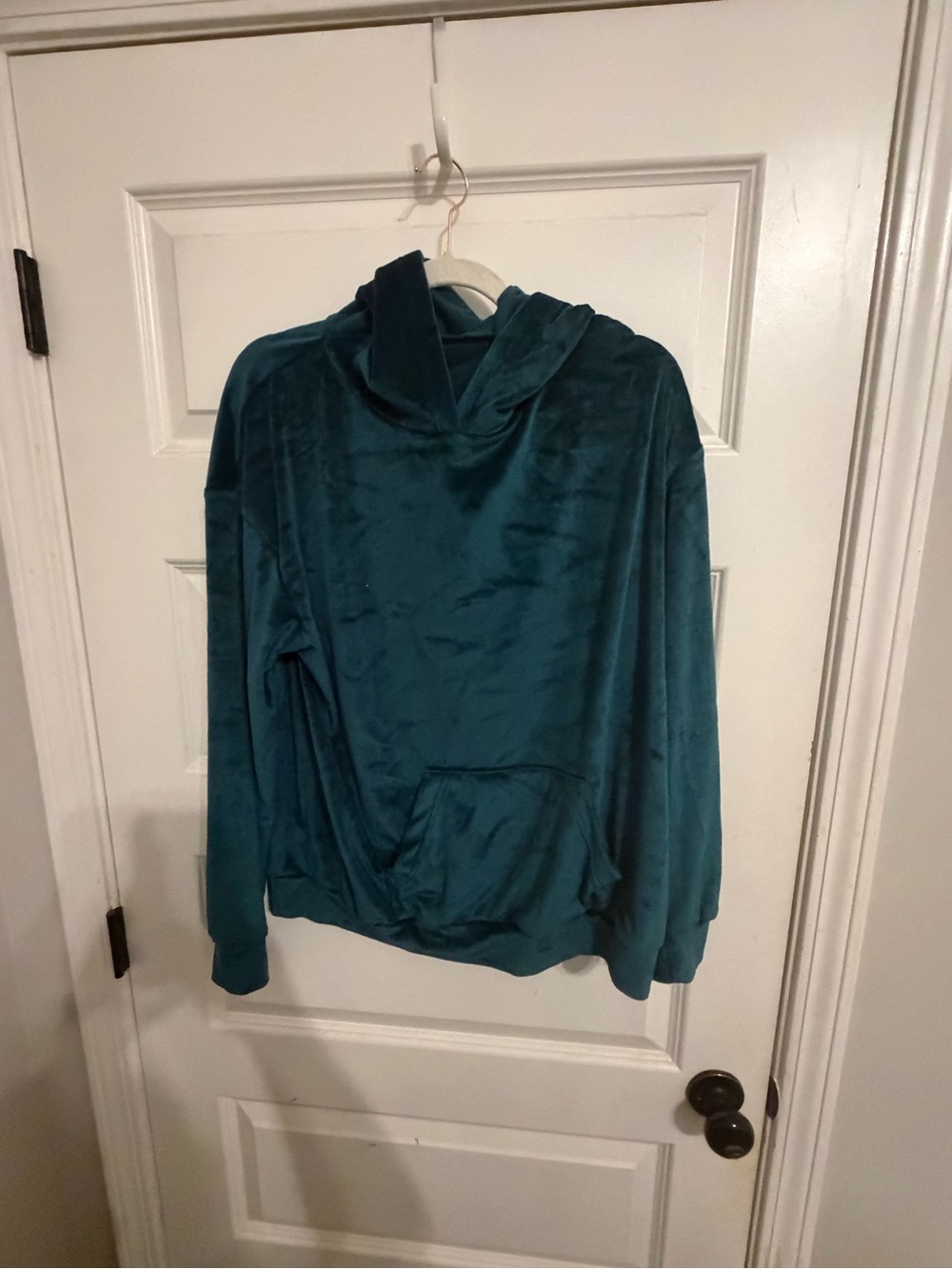 SHEIN Teal Plush Hoodie Sweatshirt